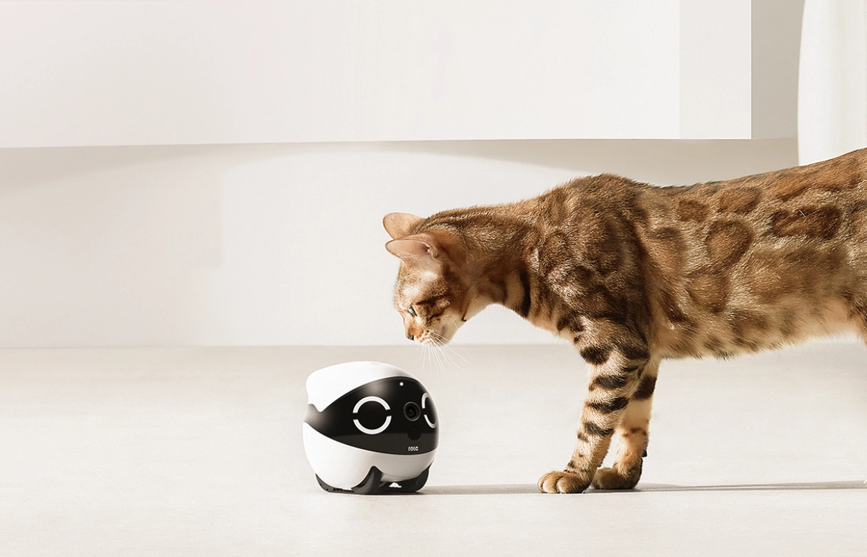 Pet Feeding Demo