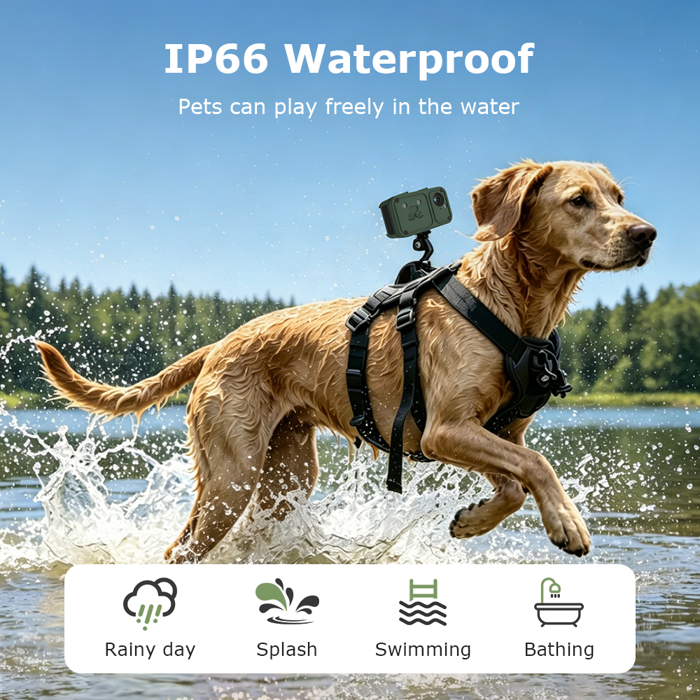 Thoughtful Function Design for Outdoor Pets